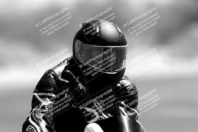 media/Jun-04-2023-Apex Assassins (Sun) [[43813f47a8]]/C Group/Session 4 (Turn 2-Track Exit)/